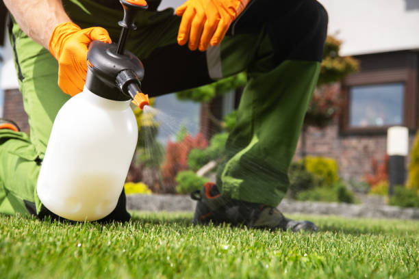 Best Ant Control Services  in Kermit, TX