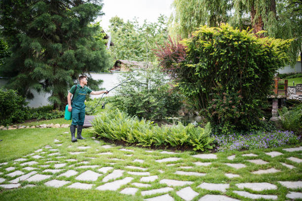 Best Pest Control for Homes  in Kermit, TX