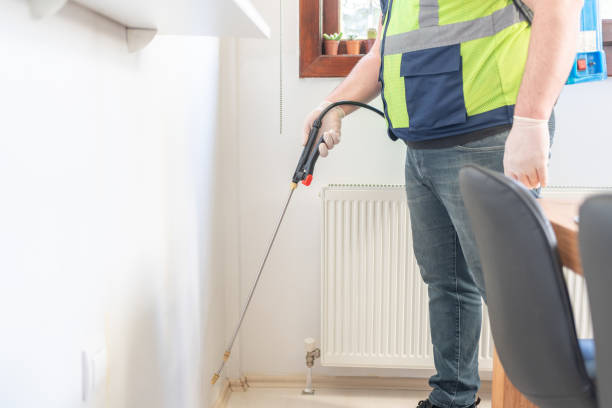 Best Local Pest Control Services  in Kermit, TX