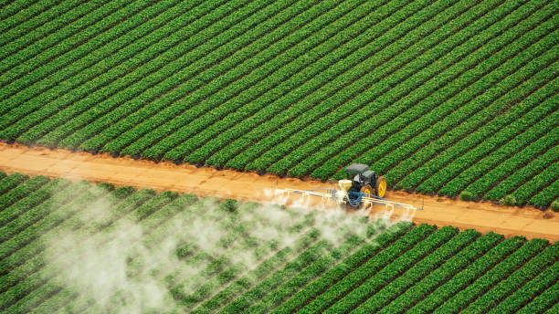 Best Best Pest Control Companies  in Kermit, TX