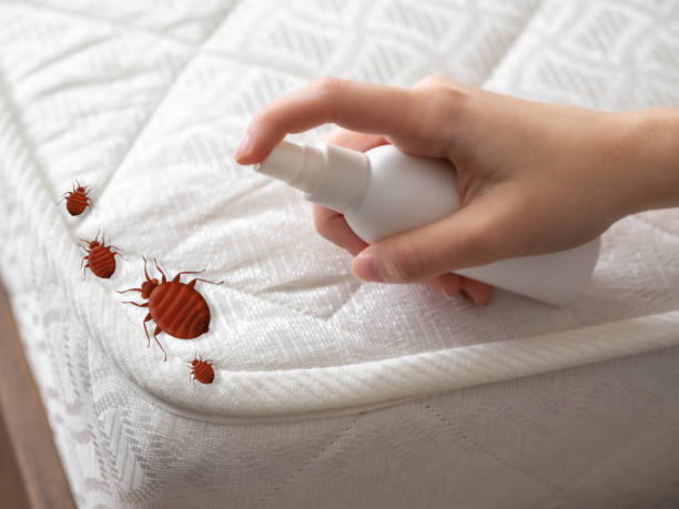 Pest Control Cost in Kermit, TX