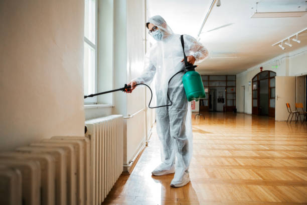 Best Ant Control Services  in Kermit, TX