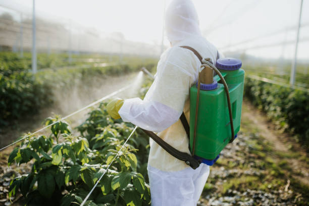 Best Pest Control Cost  in Kermit, TX